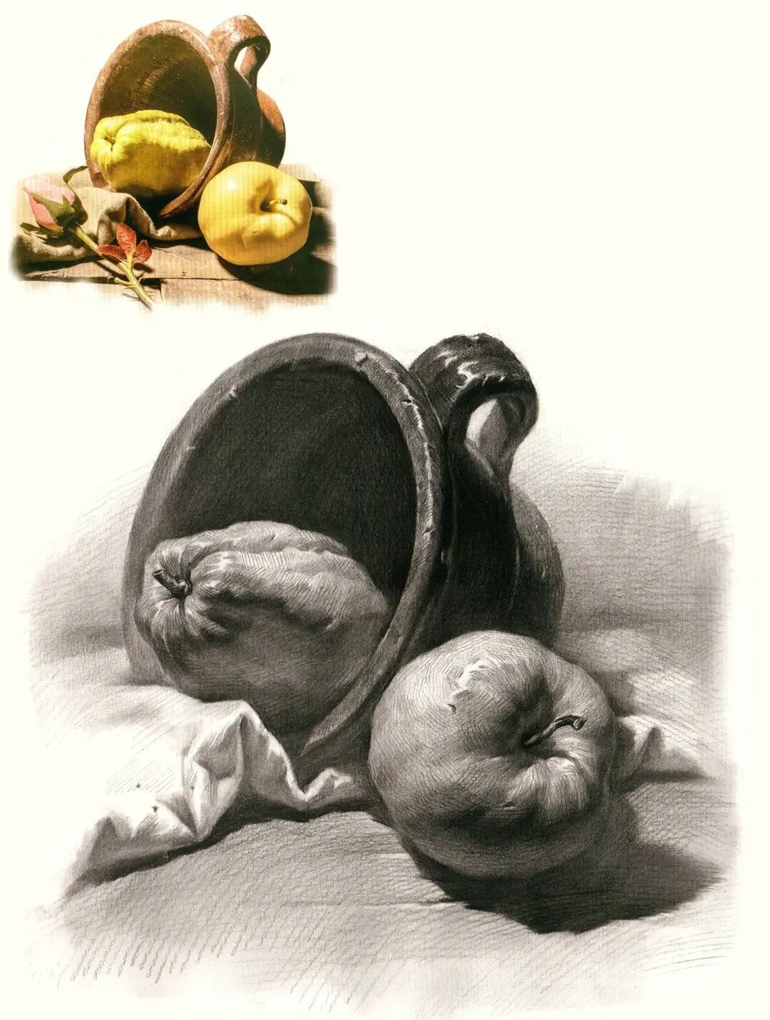 4张静物组合对照临本丨素描静物组合类