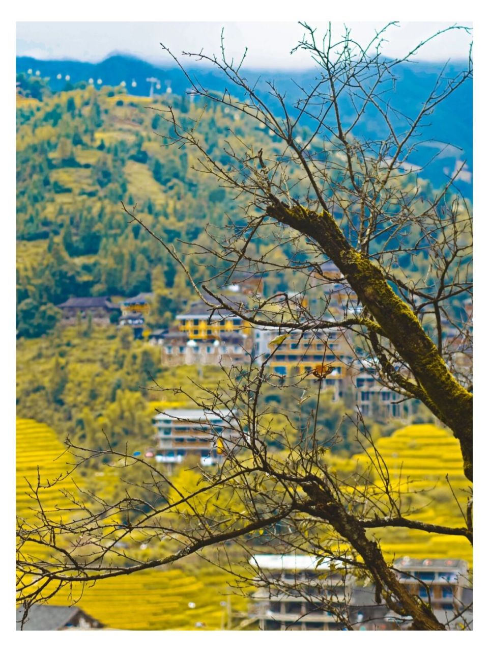 掉落在龙脊梯田里| 91:宾得pentax kp 镜头:da50mm f1