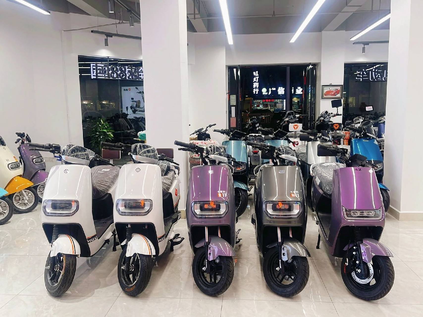 七星豹电动车 直购价 包入户2699