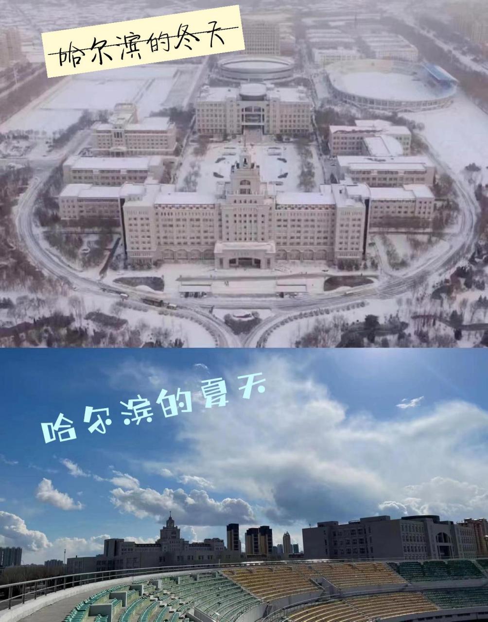 商业大学: 87校区及院系分布: 南校区位于繁华的道里市区,有药学院