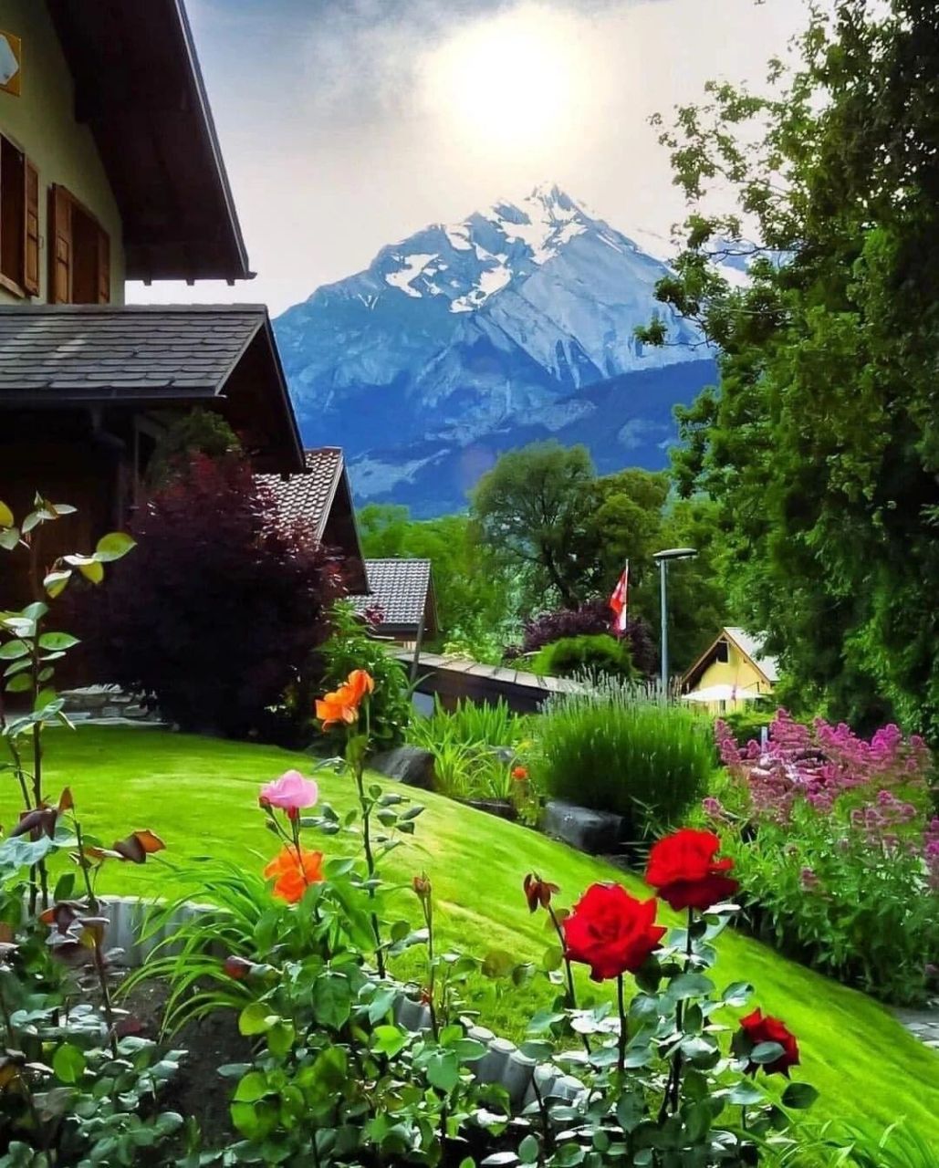 瑞士绝美治愈系风景之一9893