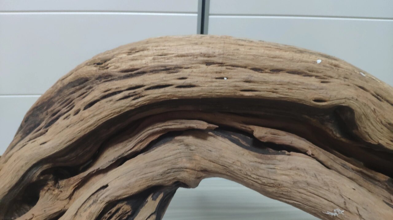 紫柚木沉木到货,泡水去黄水中.