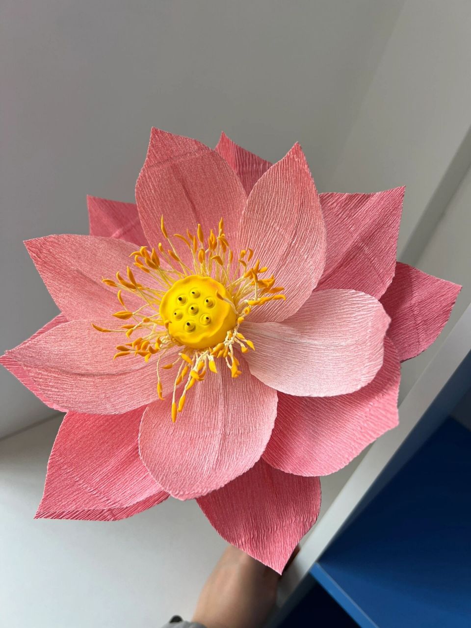 皱纹纸荷花🪷 皱纹纸做的第二朵花花—荷花🪷
