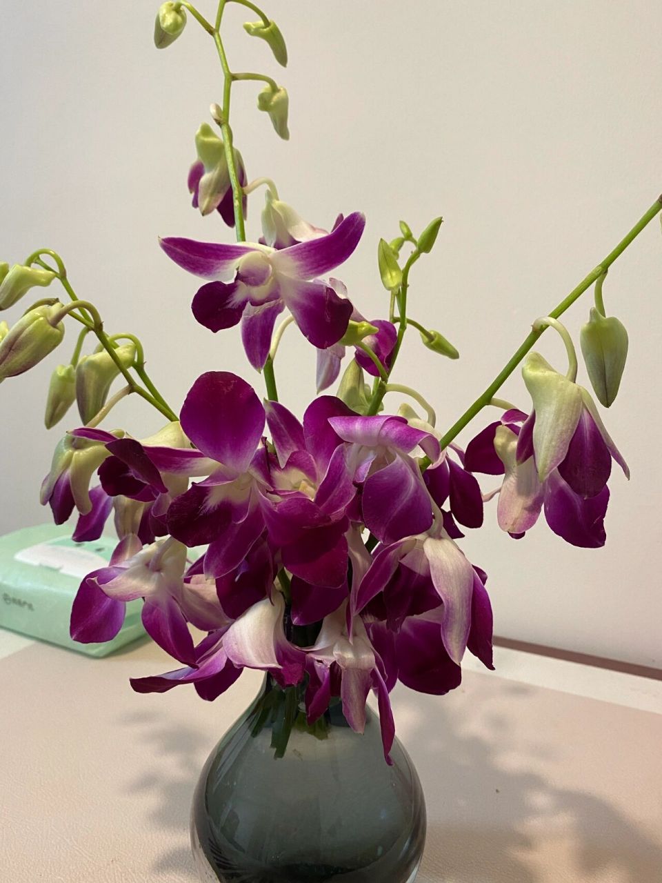这个摆盘常用花是不是叫杨兰花?