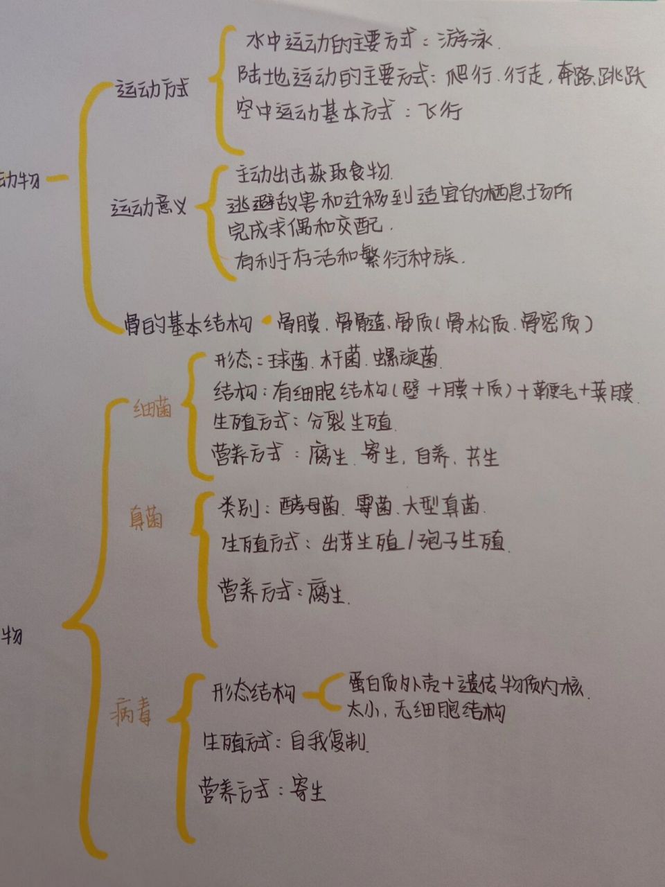 八上第五单元生物思维导图北师大版 生物圈中的动物和微生物