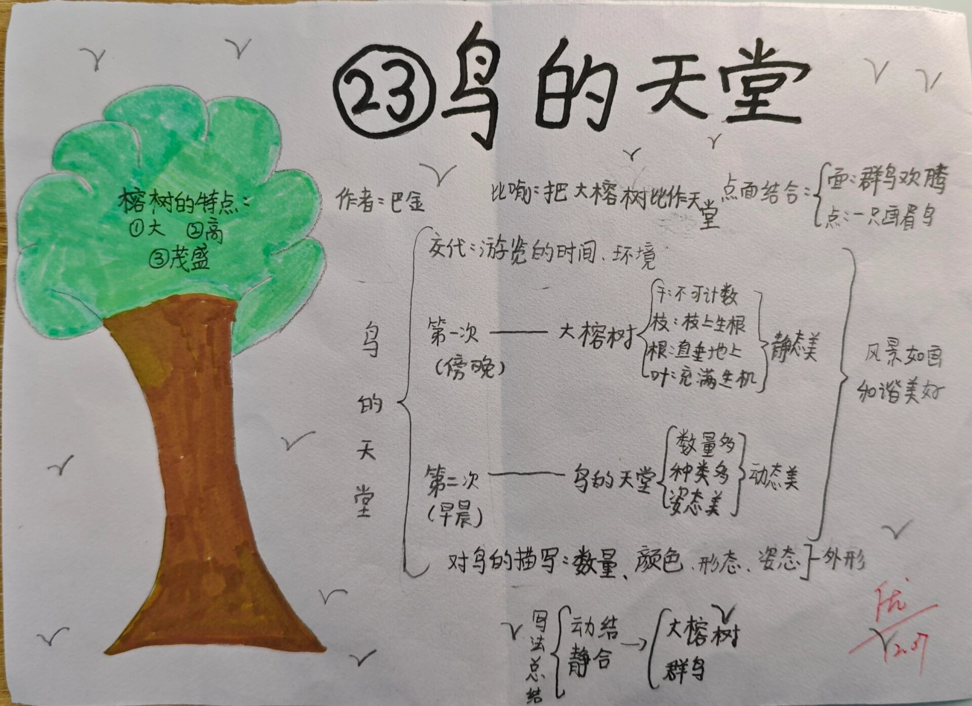 五上23课《鸟的天堂》思维导图,重难点版
