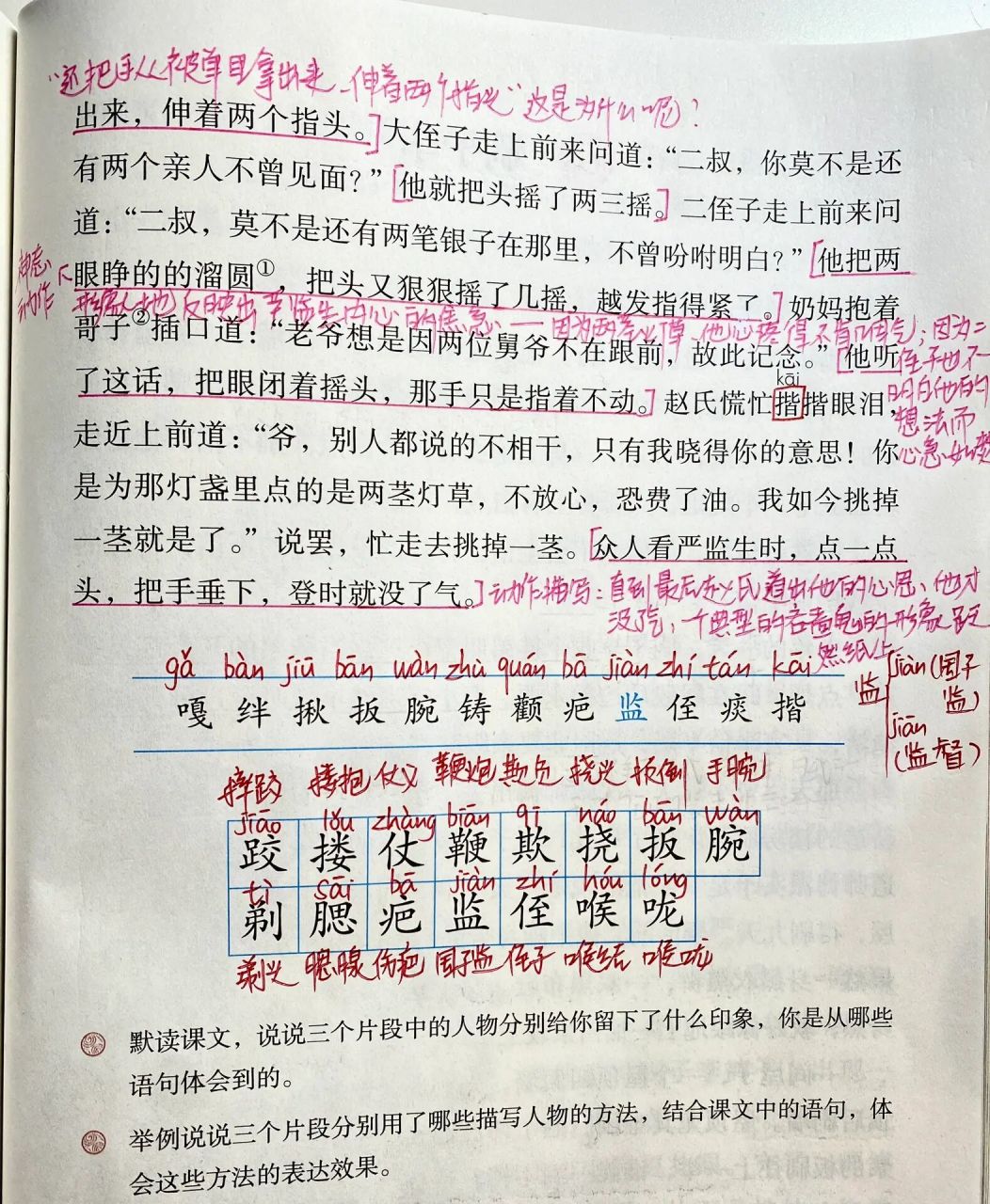 五年级下册语文《两茎灯草》课堂笔记