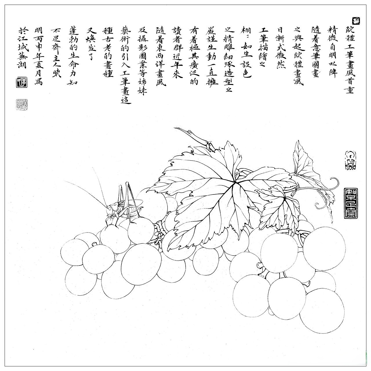 李晓明老师葡萄螽斯图步骤(高清可以直接保存临摹)工笔画国画花鸟画