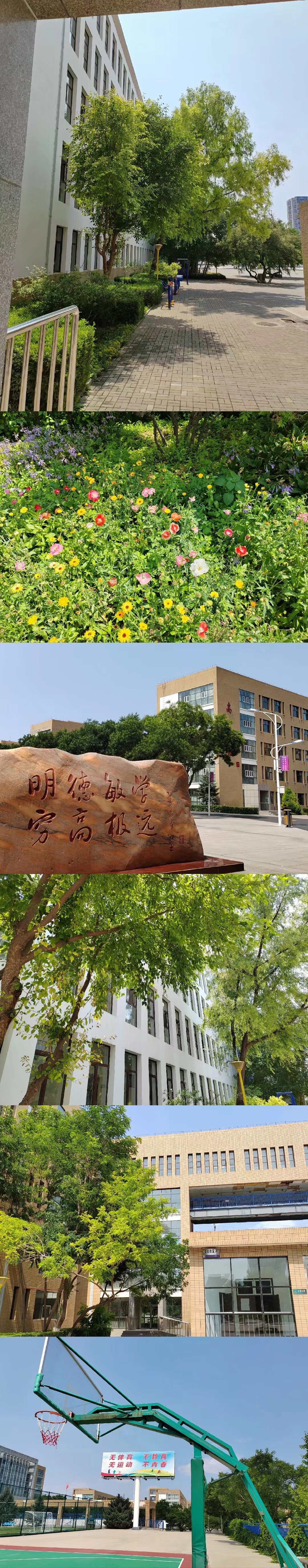 暑假回母校记录——赤峰二中