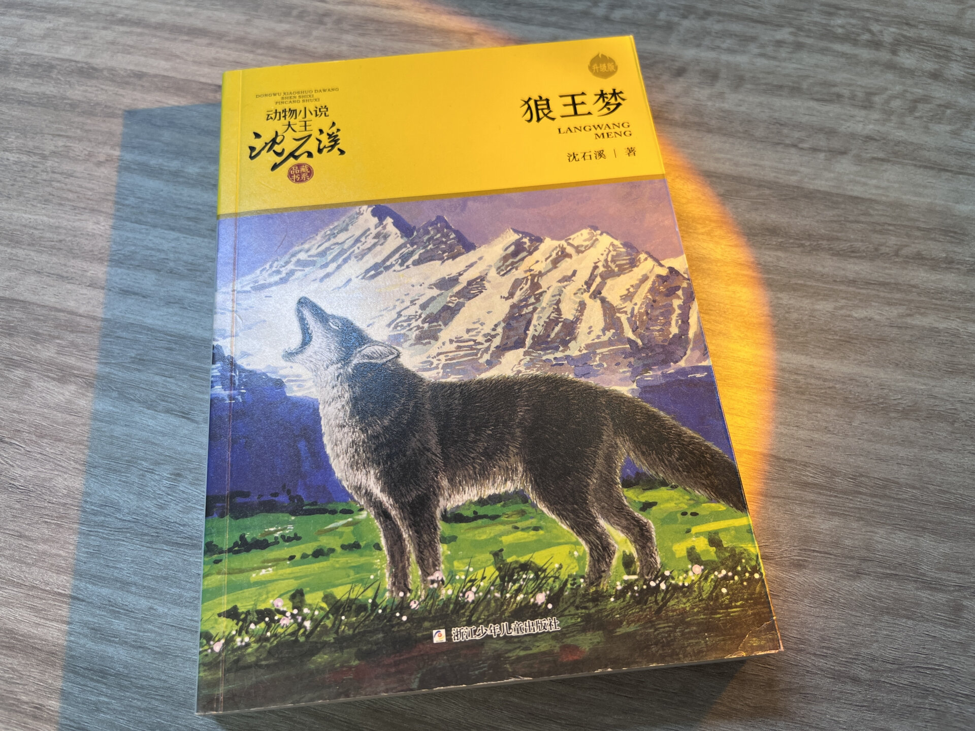 98好书推荐《狼王梦