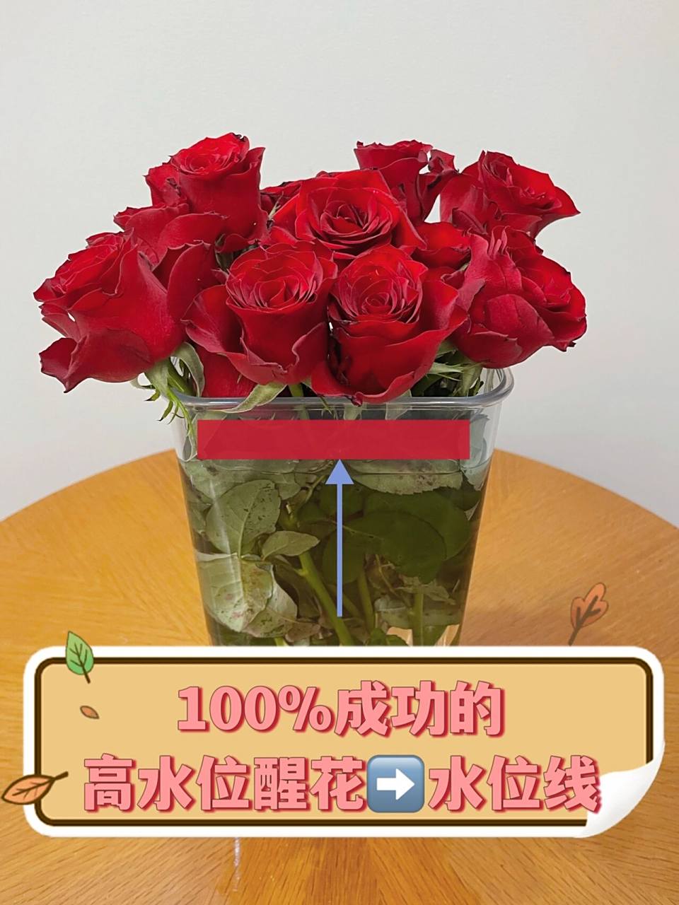 97鲜切花高水位深水醒花步骤100%成功的方 当你没有醒花液/不想买醒