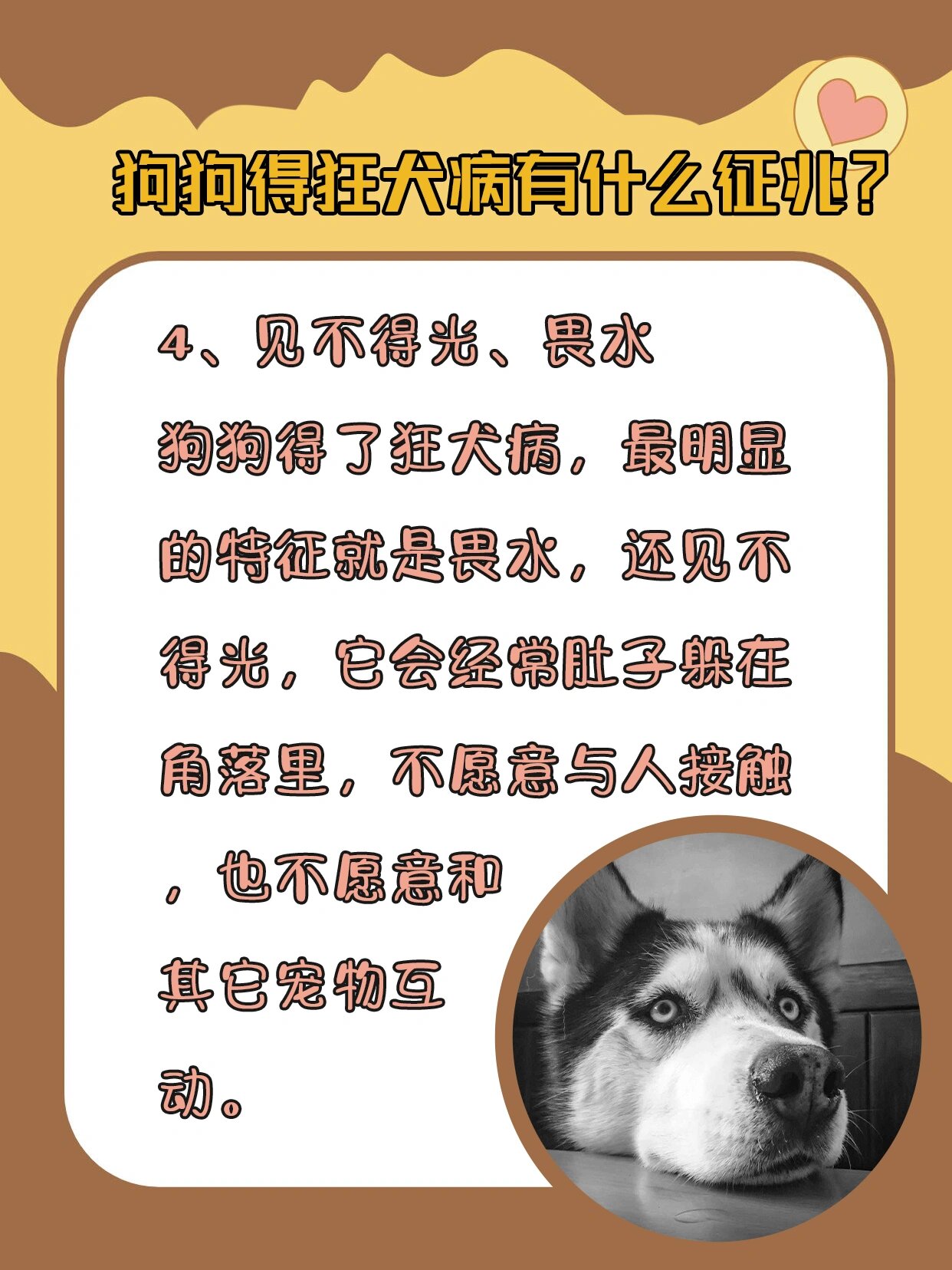 怎么判断人得了狂犬病图片