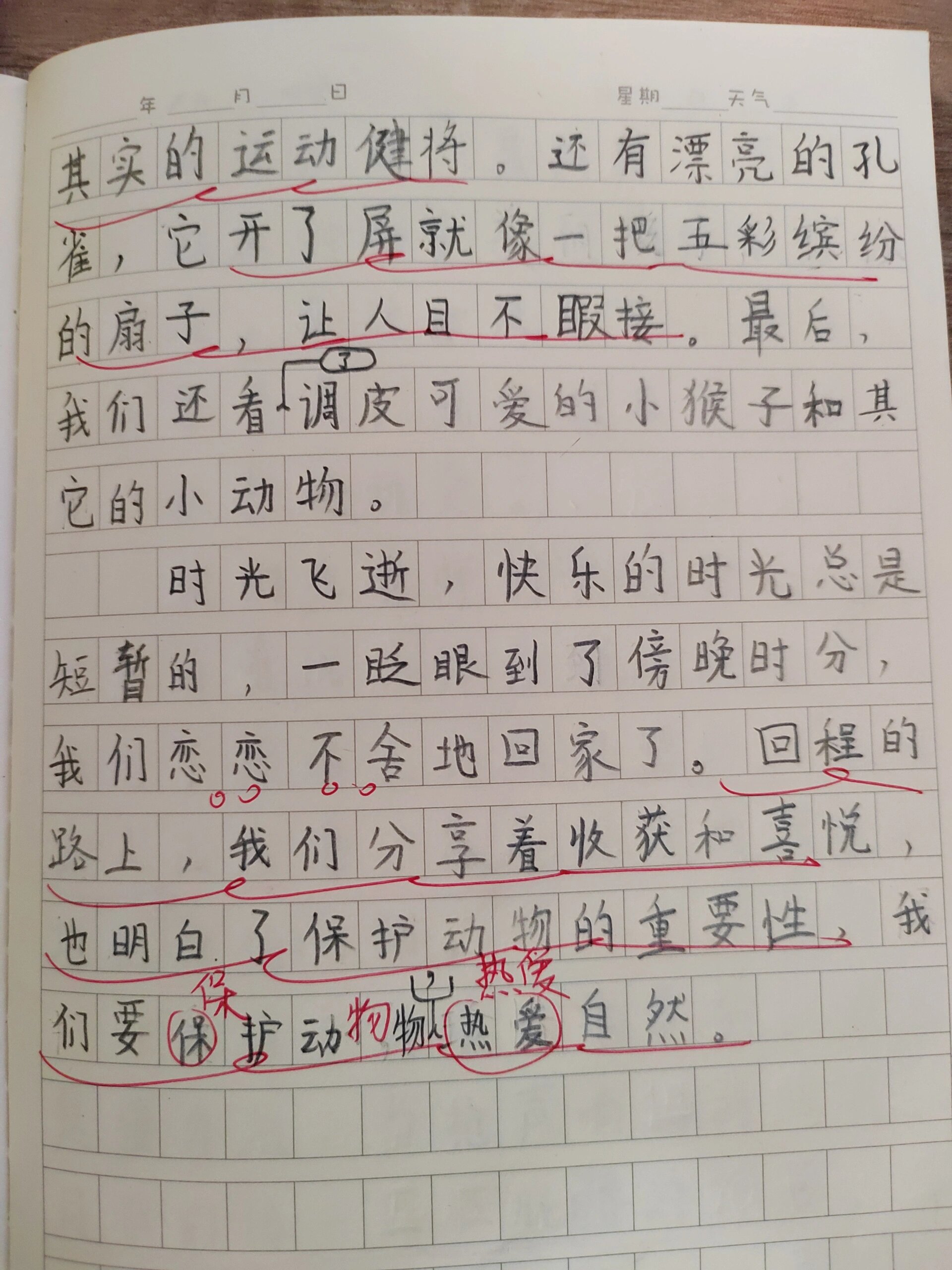 动物园日记250字图片