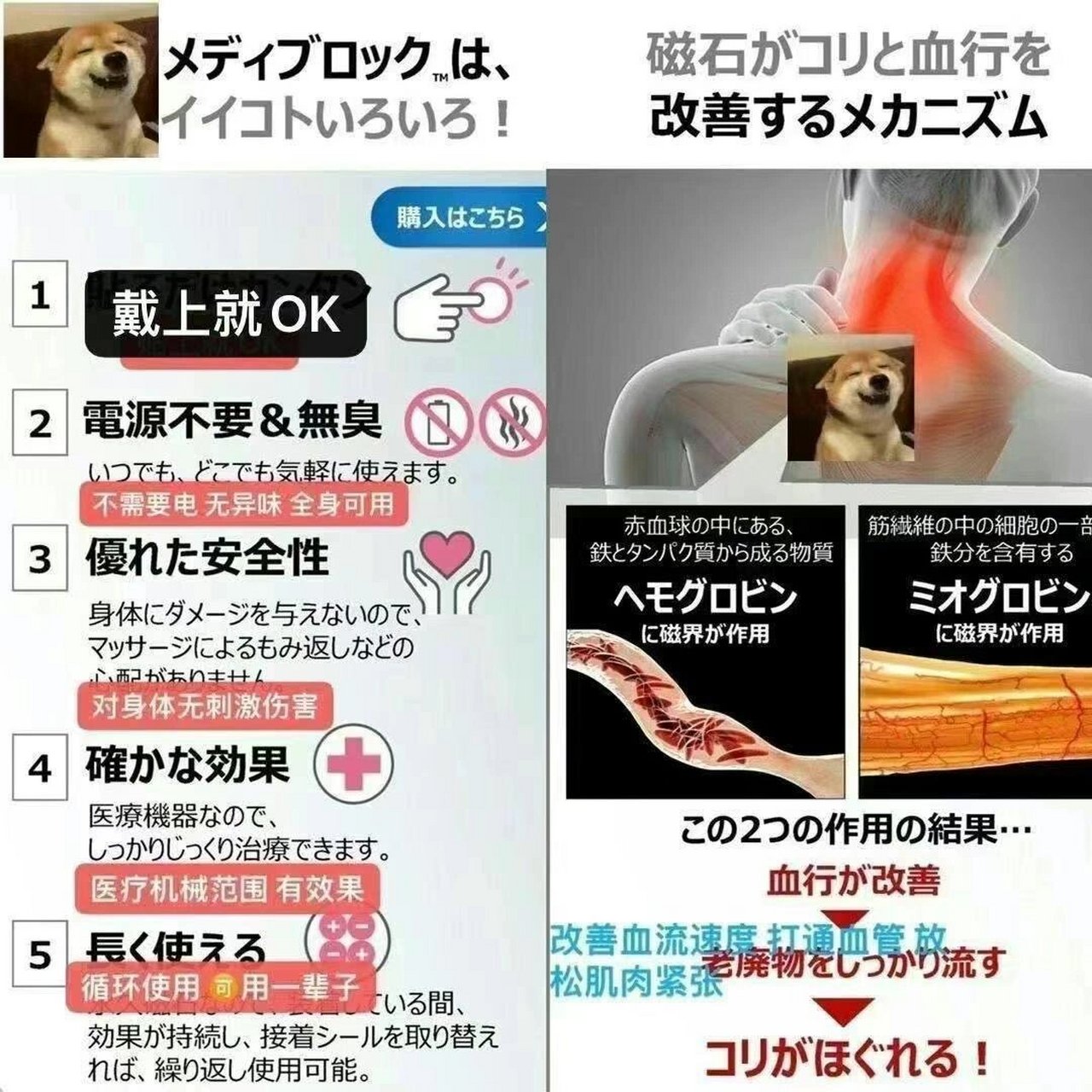 日本磁石项链骗局图片