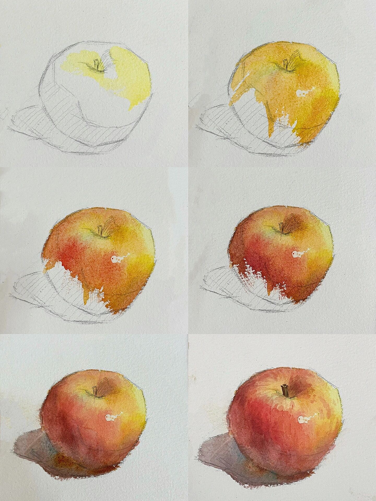 水彩单体步骤图——苹果@天天稷下湖的动态