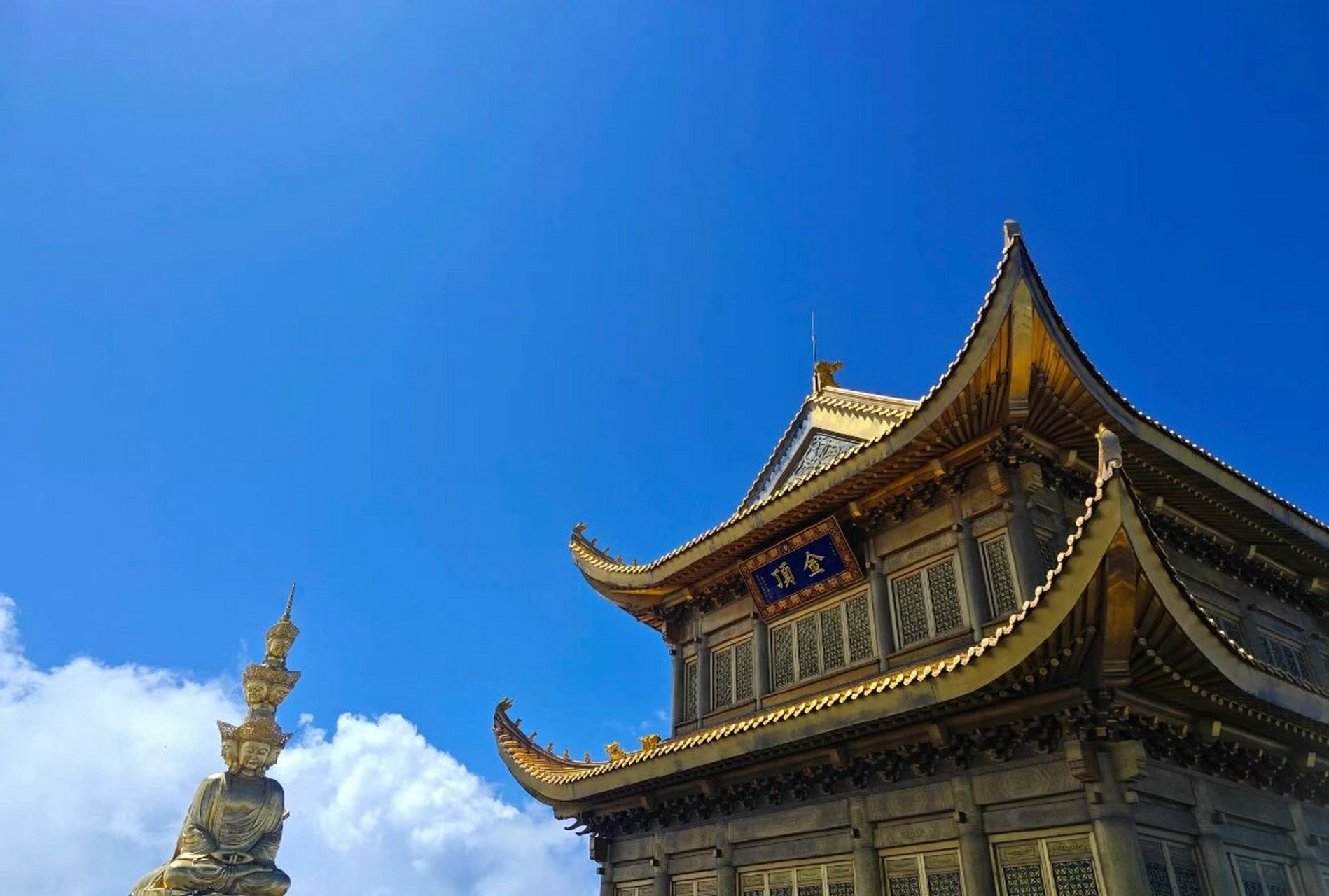 成都周边必打卡峨眉山金顶两日游 90380 带着家人打卡乐山大佛 峨眉