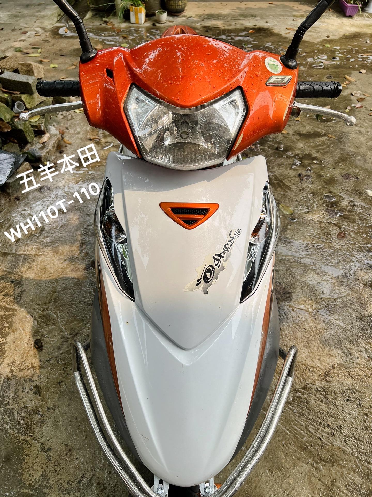 wh110t-7图片