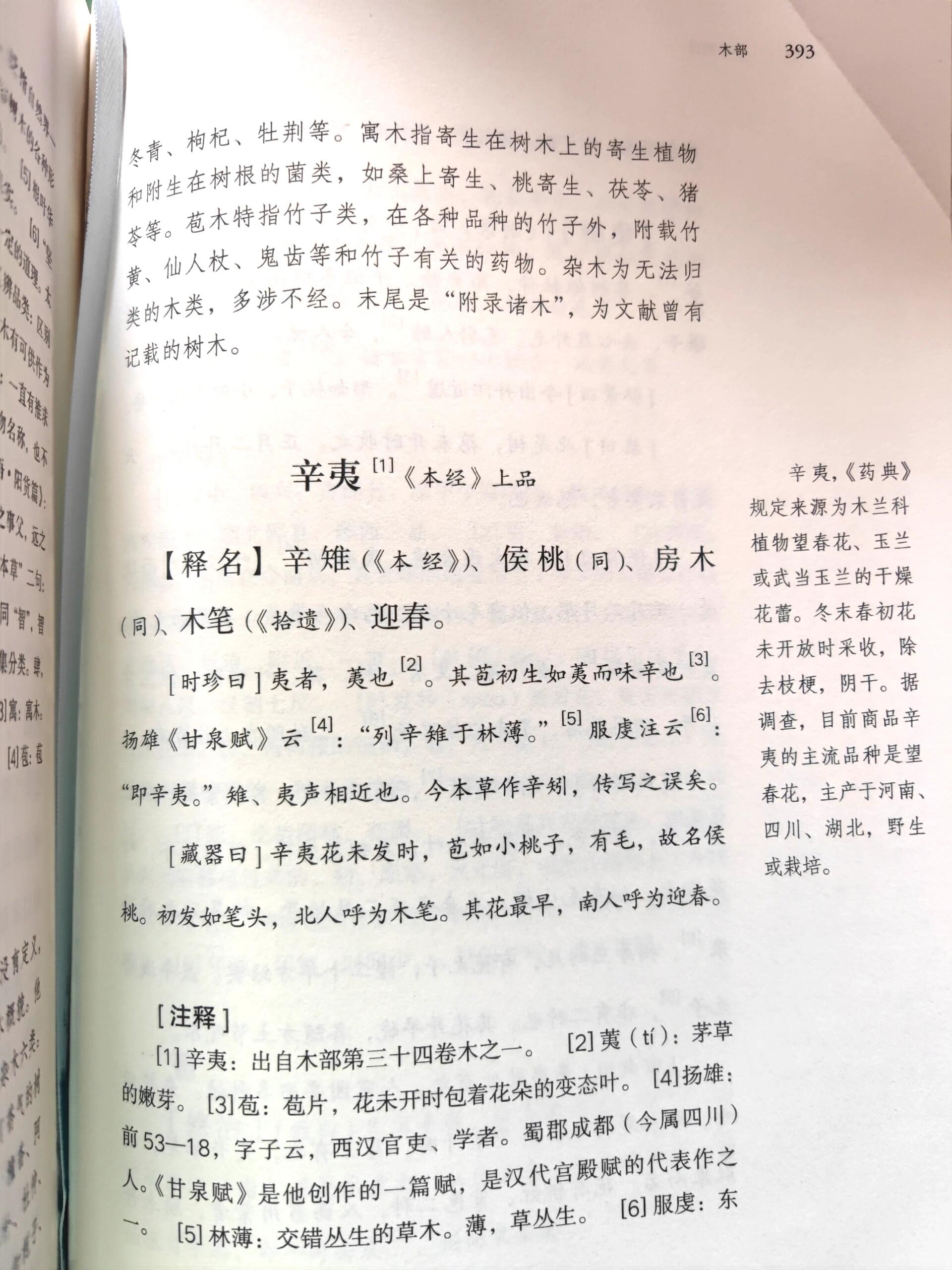 我给大家推荐一种春天开放,能治好鼻炎的花 《辛夷坞》 唐 王维 木末
