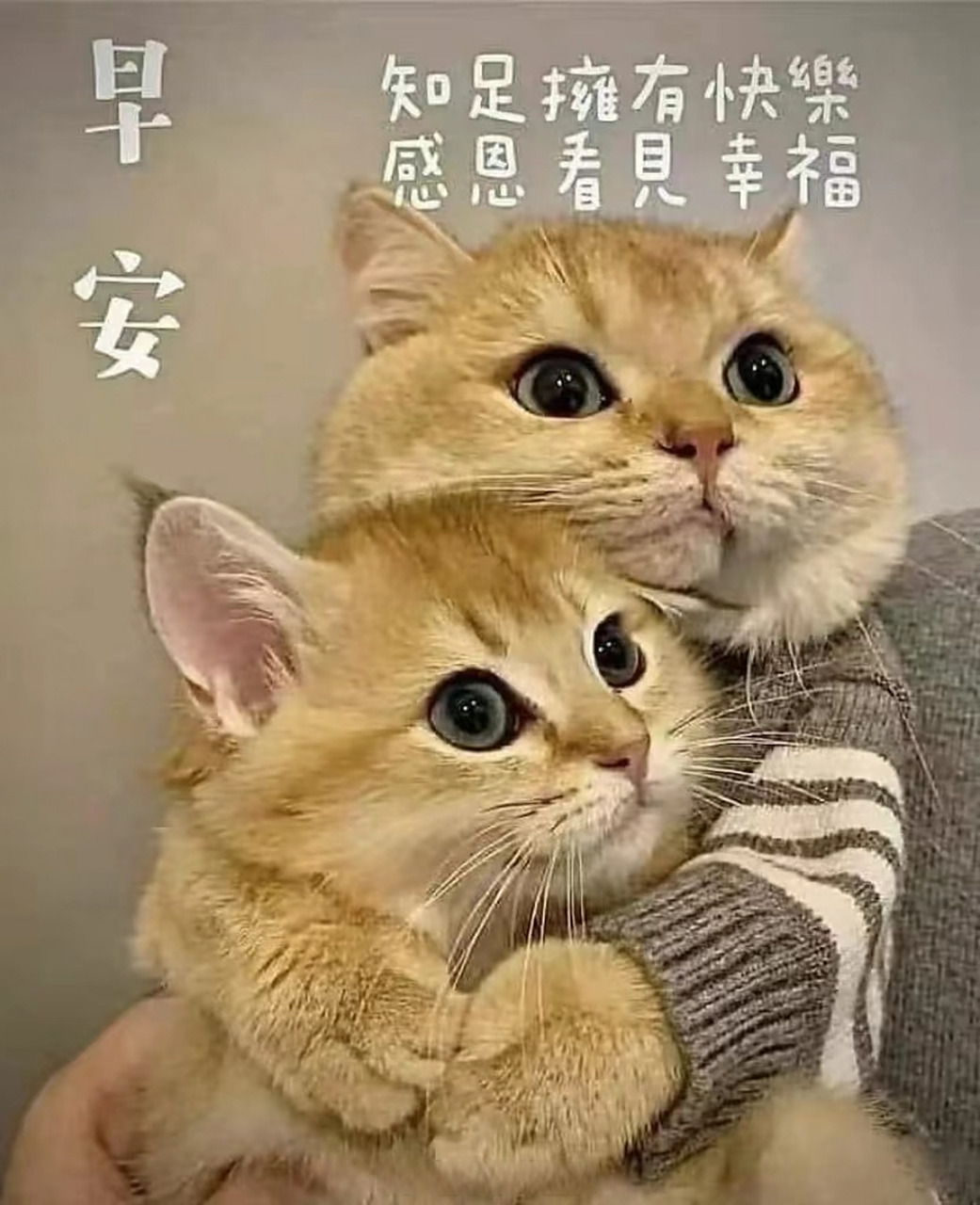 早安#一直往前走,就可能撞上生活送来的糖!早安,加油!