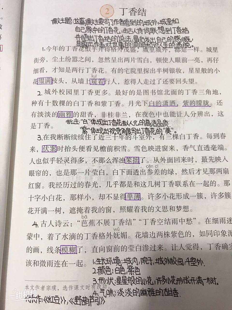 第二课《丁香结》语文课堂笔记新鲜出炉,有需要的宝宝们,请查收叮咚