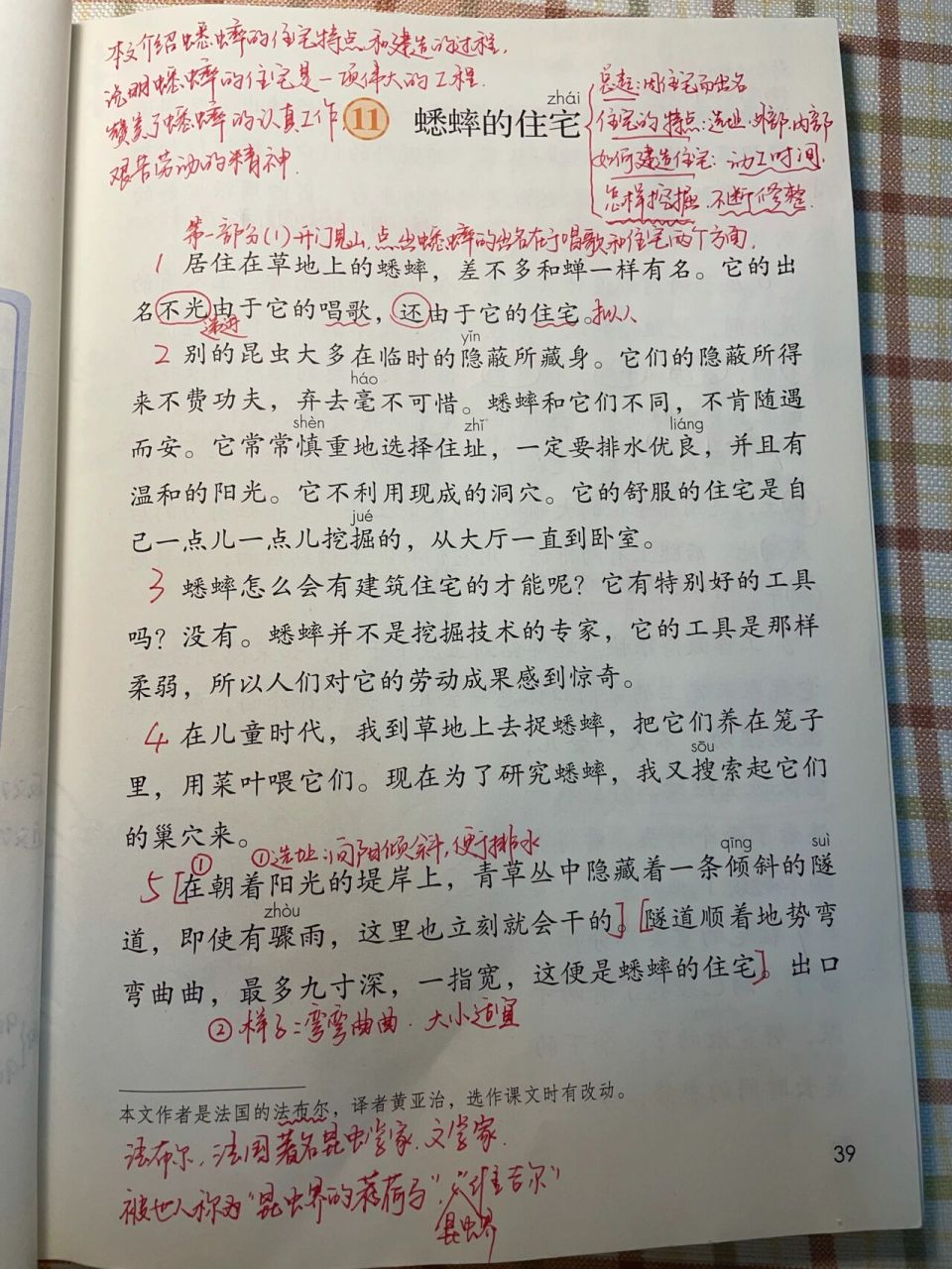 四年级上册语文11课,课文解析 第十一课蟋蟀的住宅