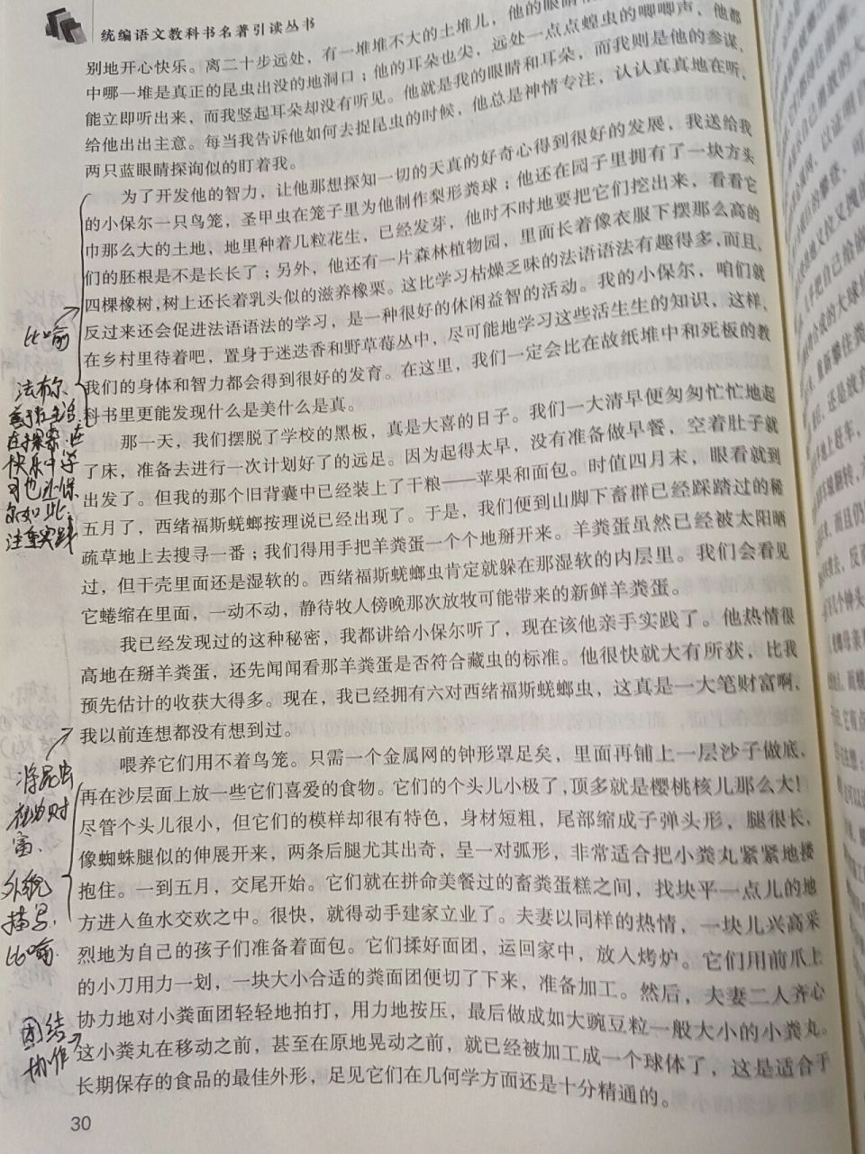 舒适西绪福斯蜣螂与蜣螂父亲之本能字丑勿喷