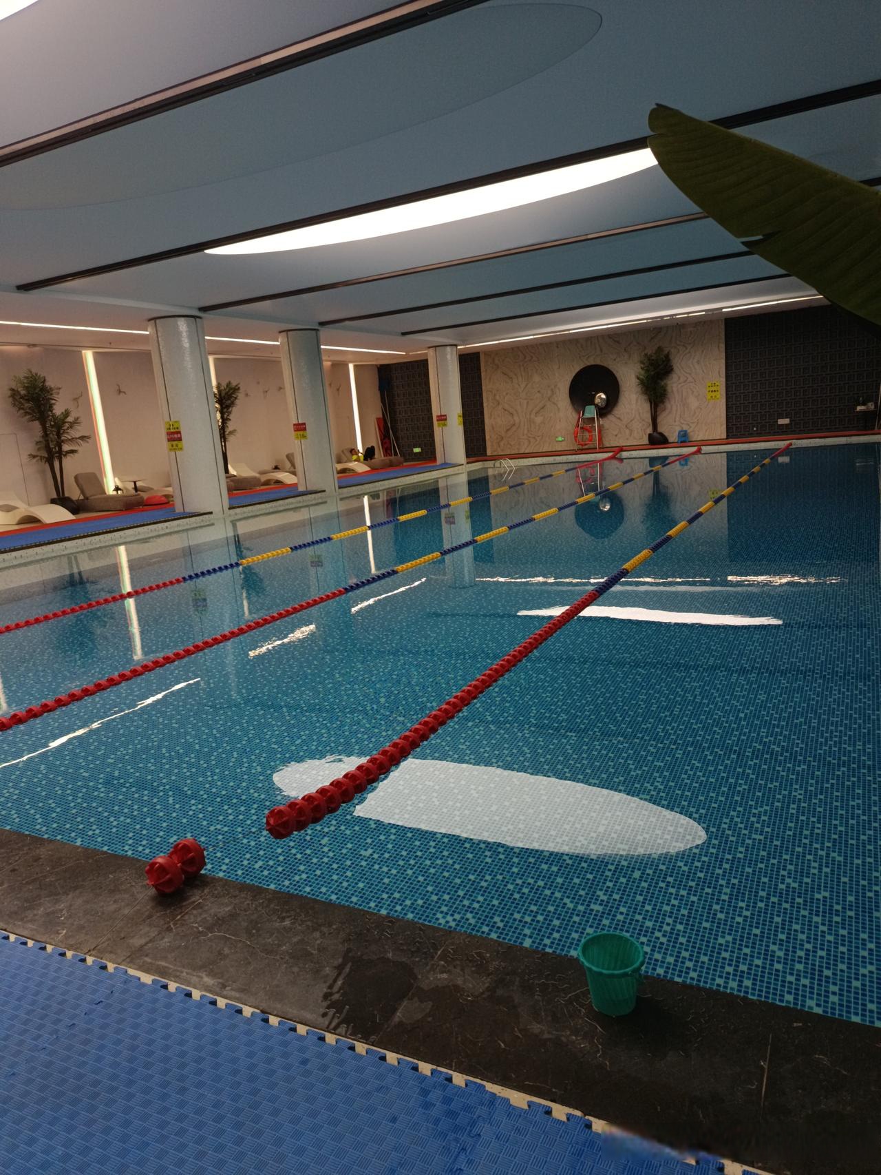 很多人学游泳先选蛙泳,其实自由泳在技术上更简单,游起来也速度更快