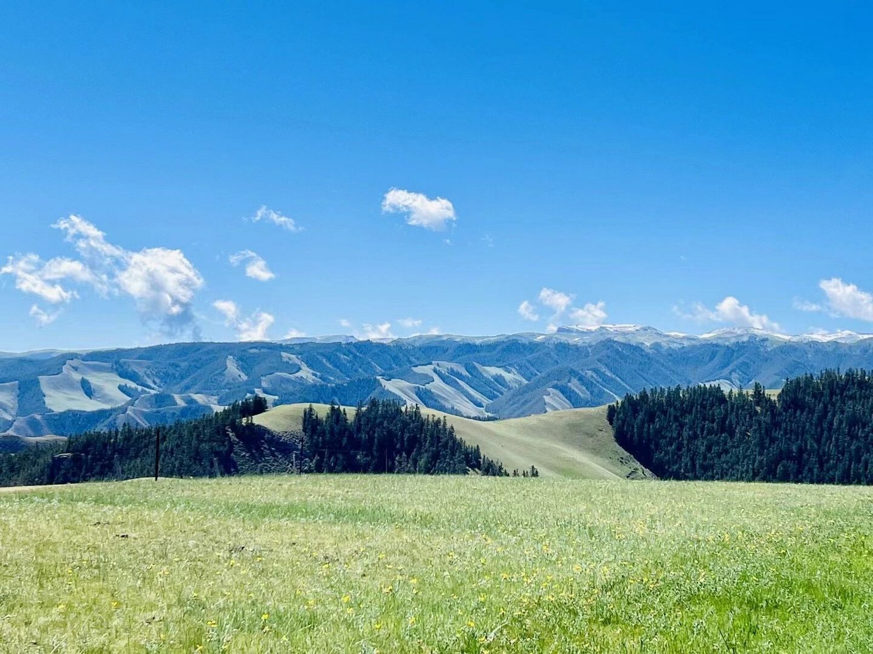 康乐草原  16615算张掖的小众景点吧,但是绝对值得一游,是本次