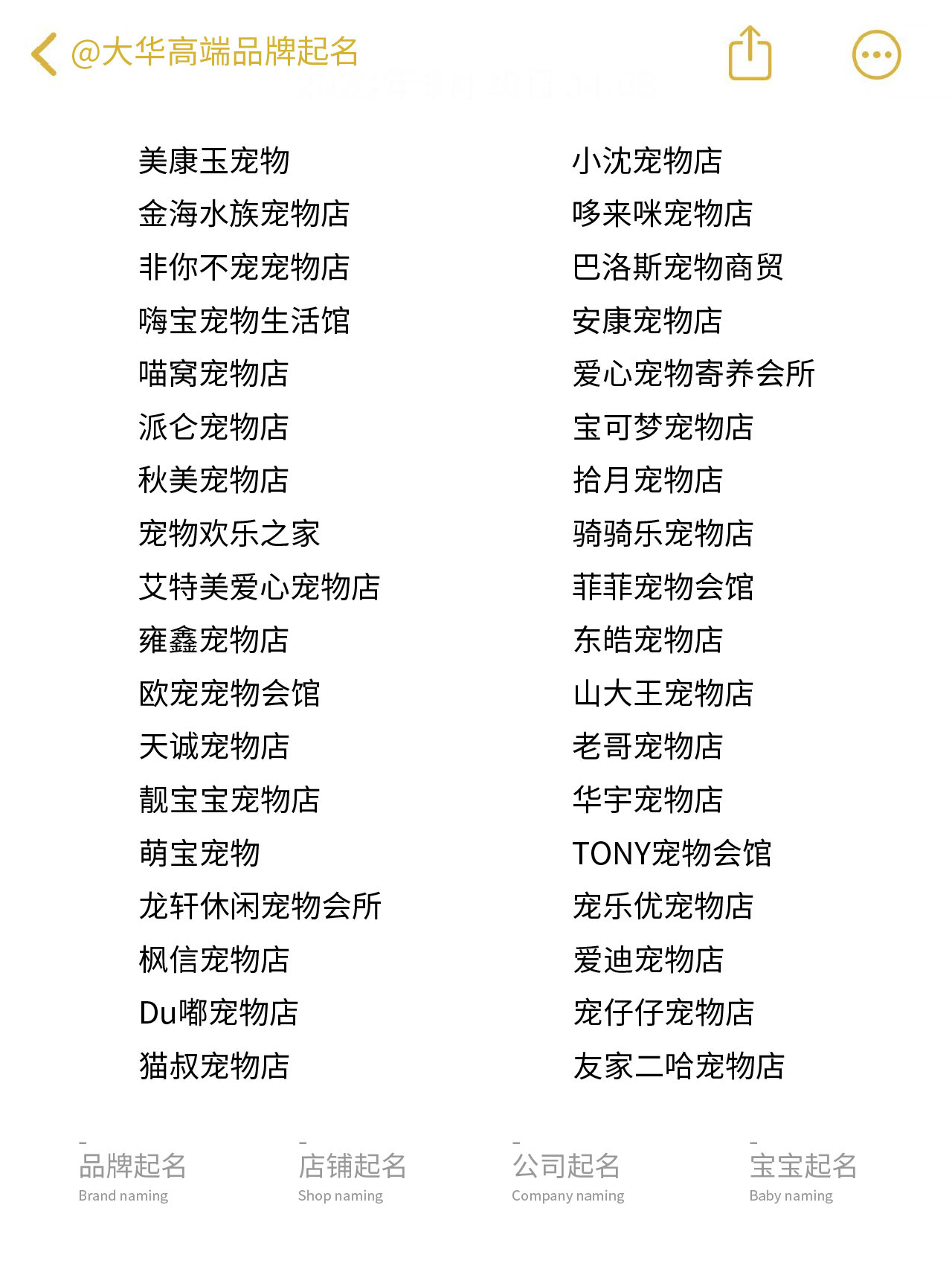 宠物店起名字大全!超级拉风快存下