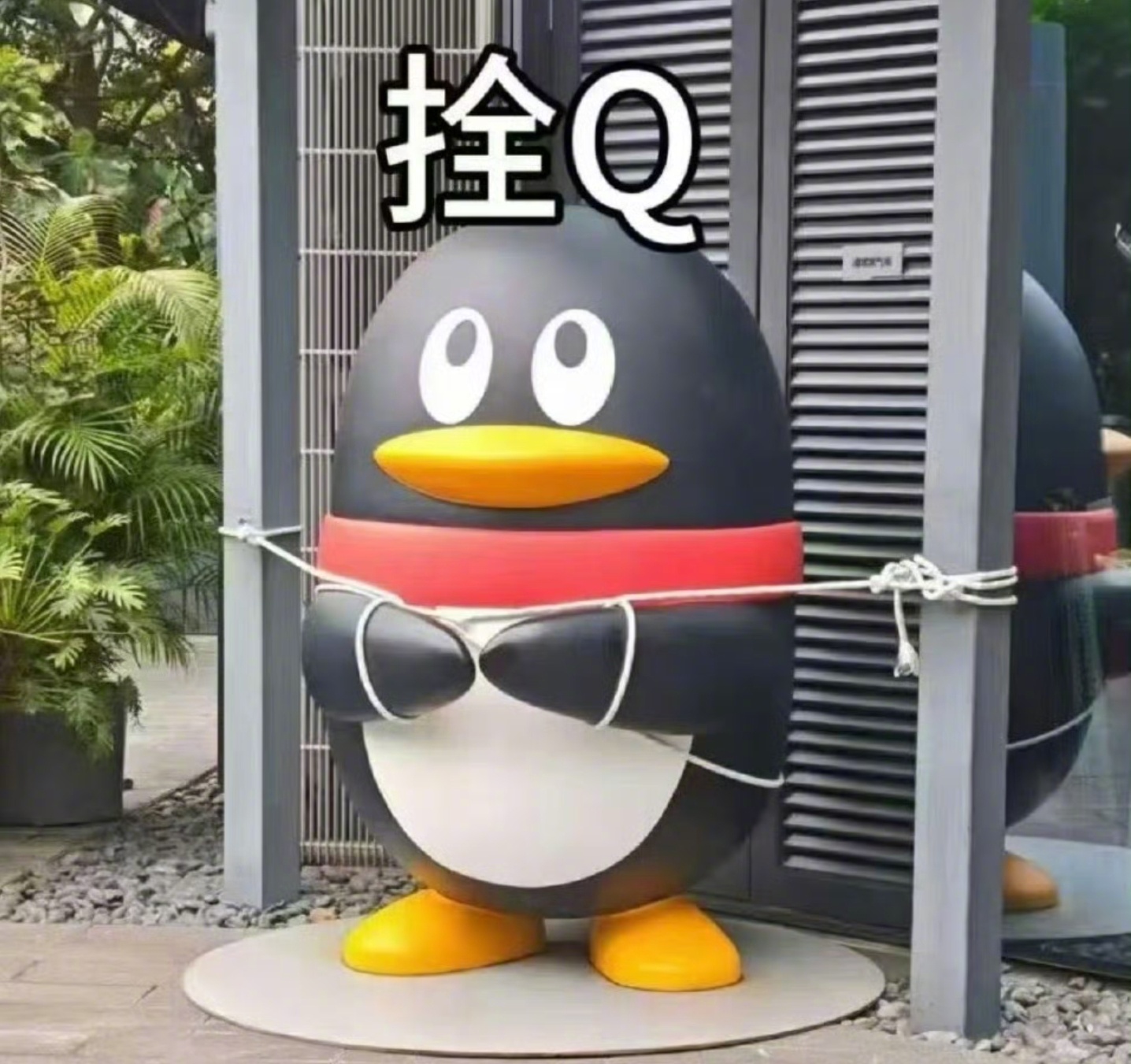 工作人员用绳索将企鹅拴在了位置上,还附带一张"腾讯企鹅表情包企鹅