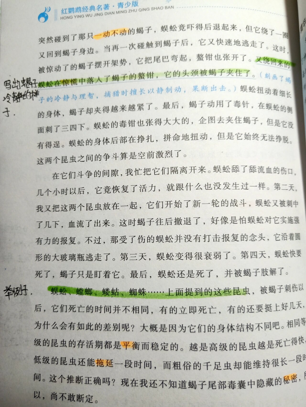 昆虫记第二十四章批注 旧版昆虫记第二十四章批注 朗格多克蝎子