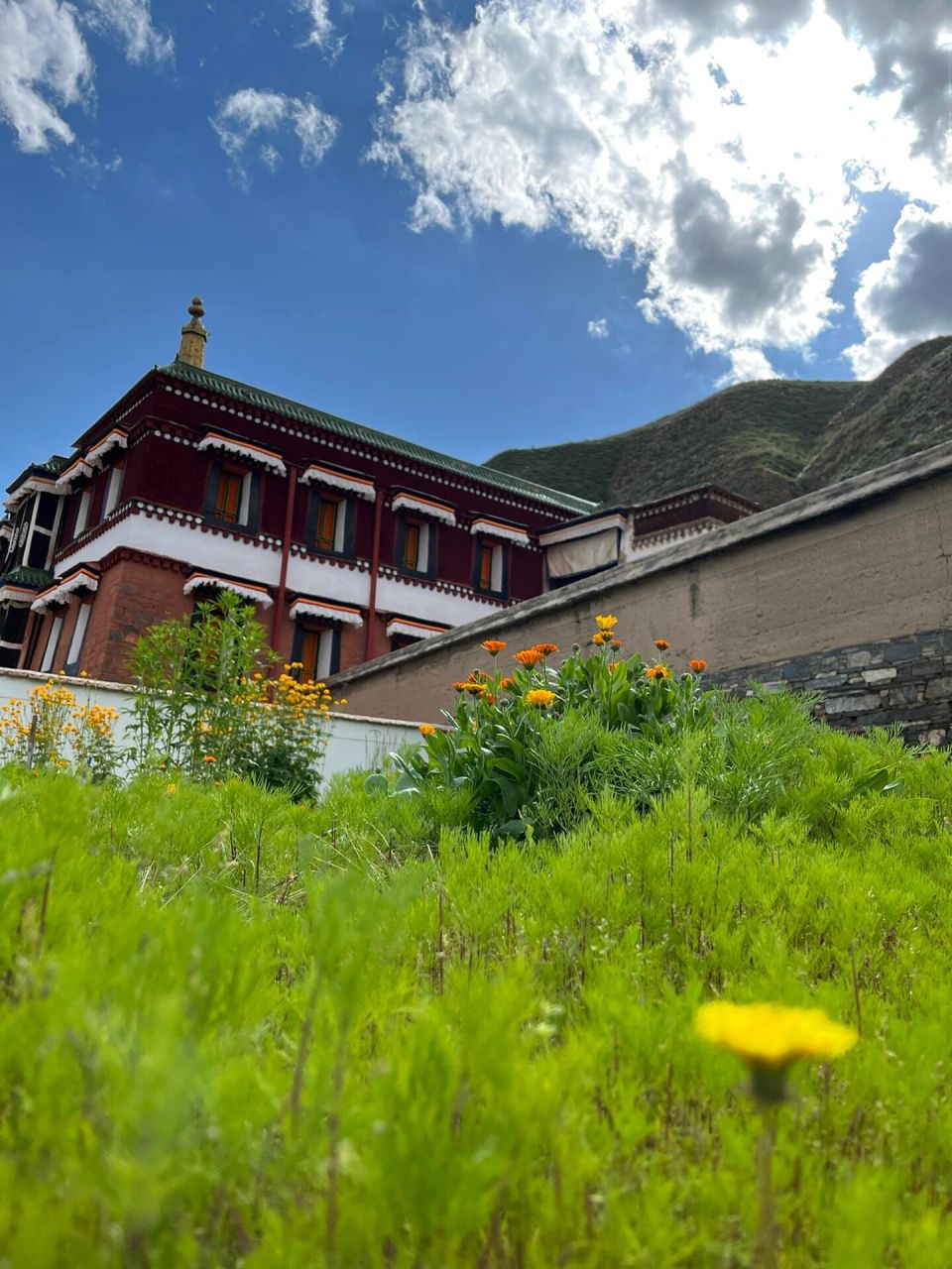 甘南|拉卜楞寺参观须知721572157215 拉卜楞寺,位于甘肃