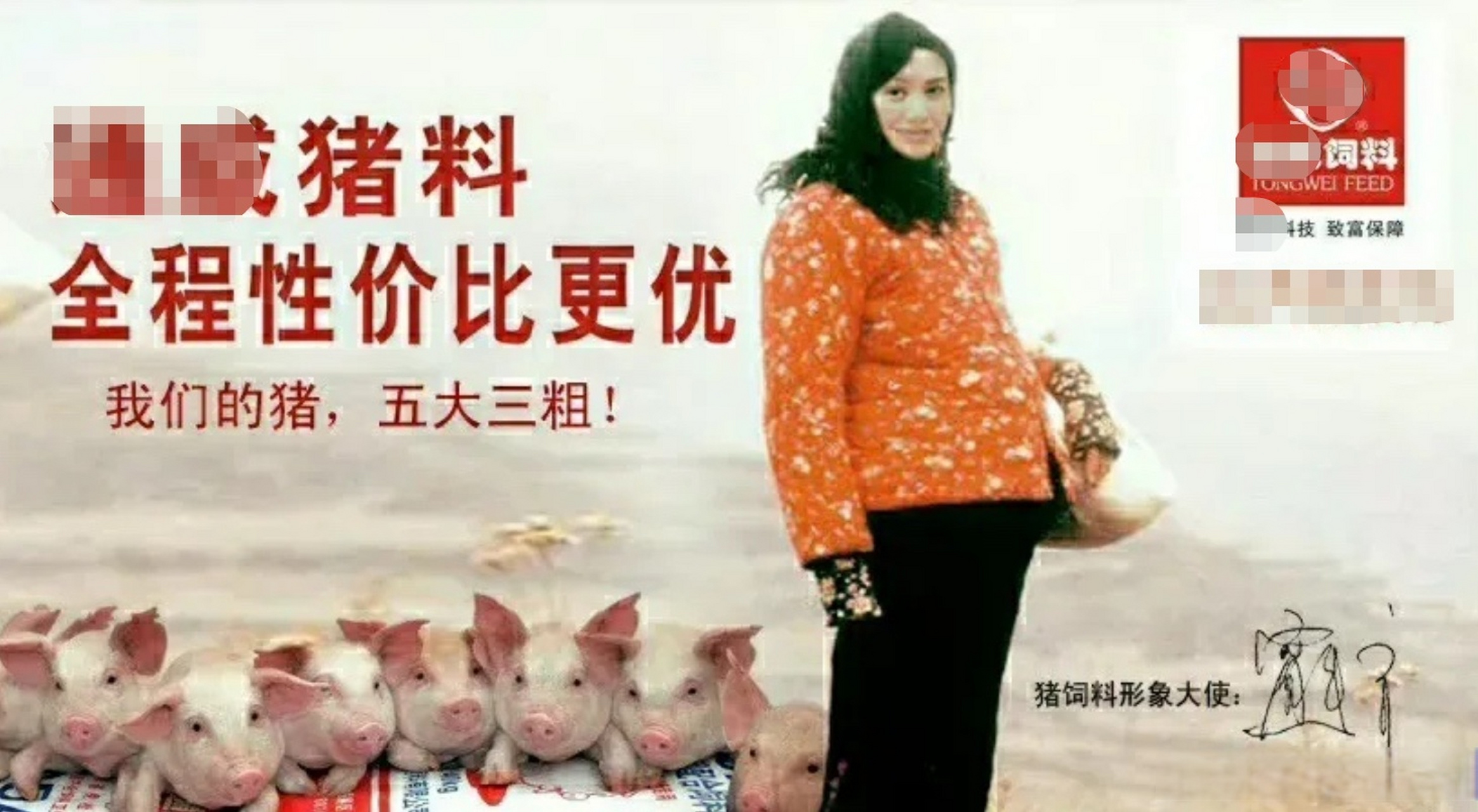 宁静拍了一则"猪饲料"广告,广告词是:"我们的猪,五大三粗".