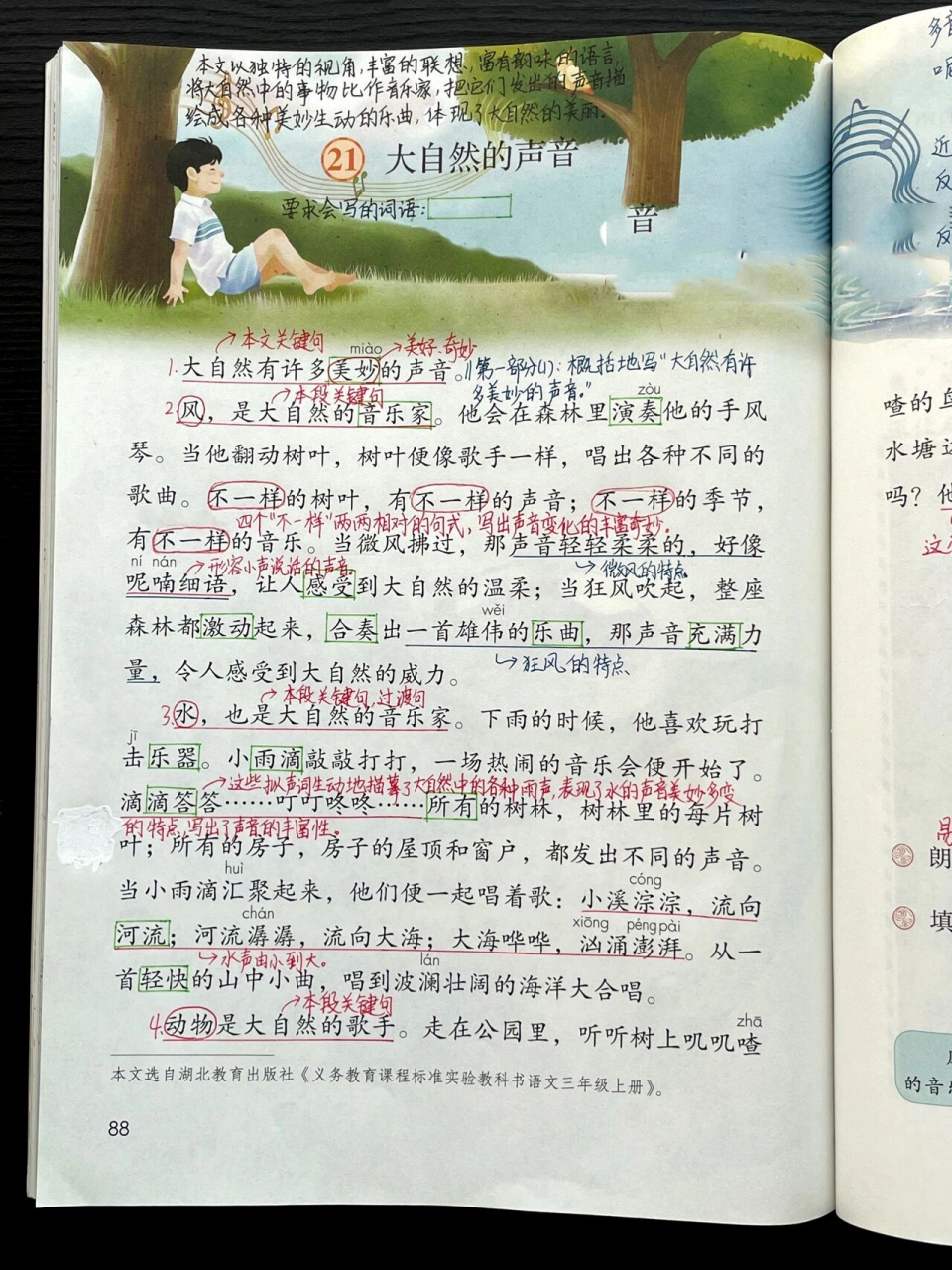 三上|三年级上册第21课《大自然的声音》笔记 部编版小学语文三年级
