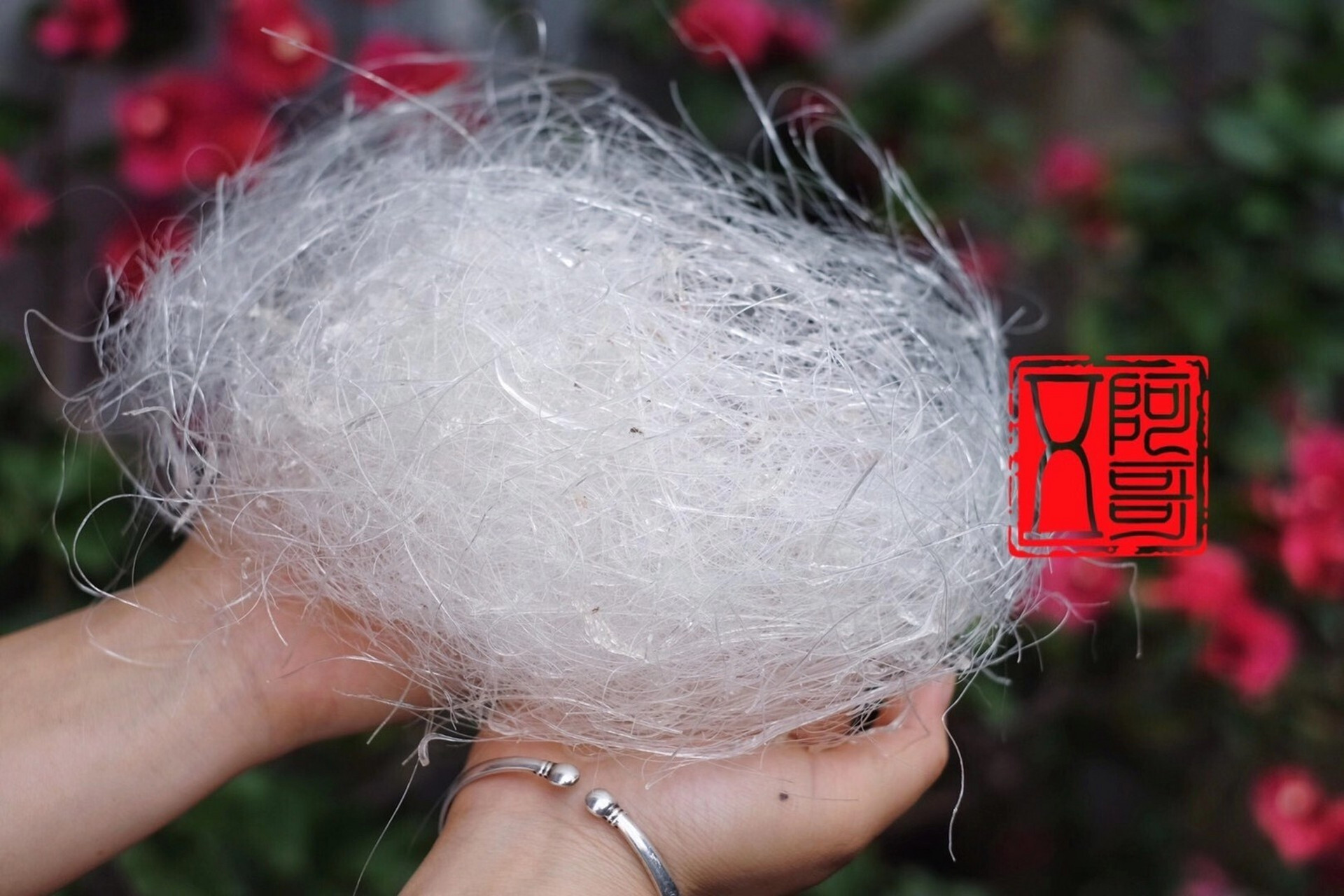 质量超好的龙须雪燕 雪燕不是燕窝,它是珍贵的雪燕树木髓分泌物,是