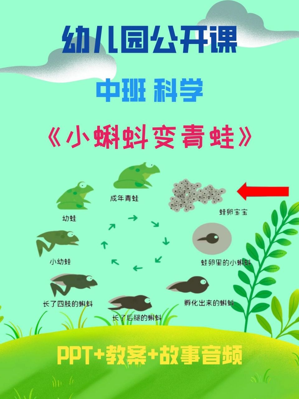 幼儿园中班科学《小蝌蚪变青蛙》 分享一节幼儿园中班科学活动设计