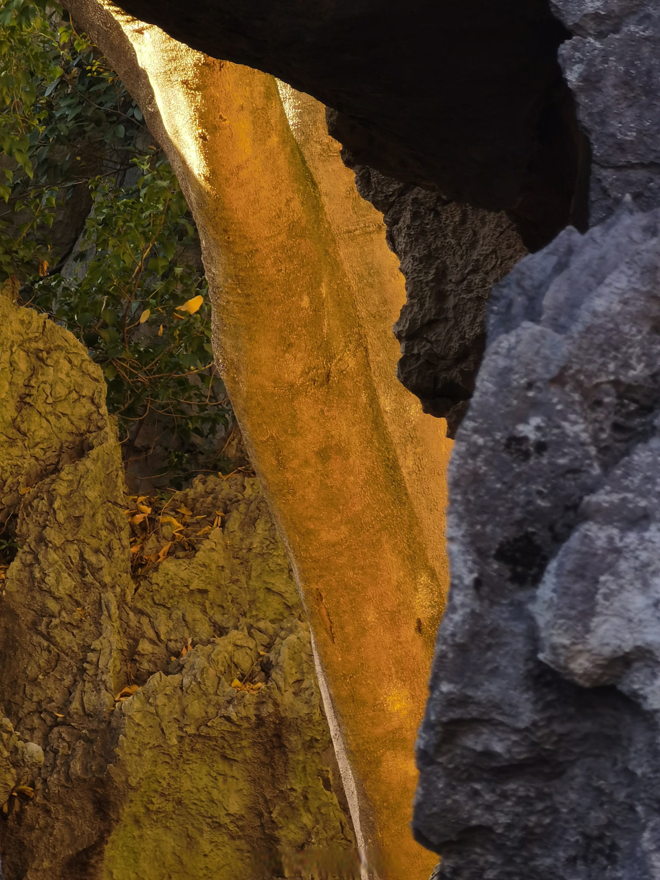 石林景区打卡#云南旅行##西双版纳##昆明##丽江古城# 周建鑫摄