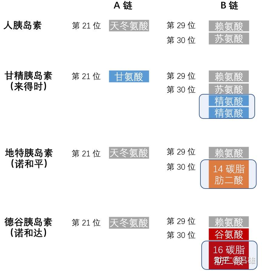 甘精胰岛素用法图片