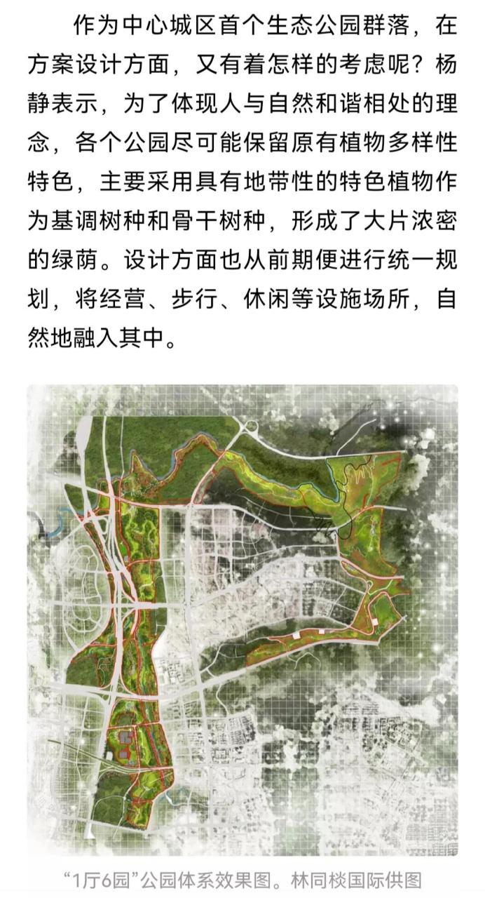 重庆头条为了炒作中央公园,渝北两路回兴老城区的碧津公园,双龙湖公园