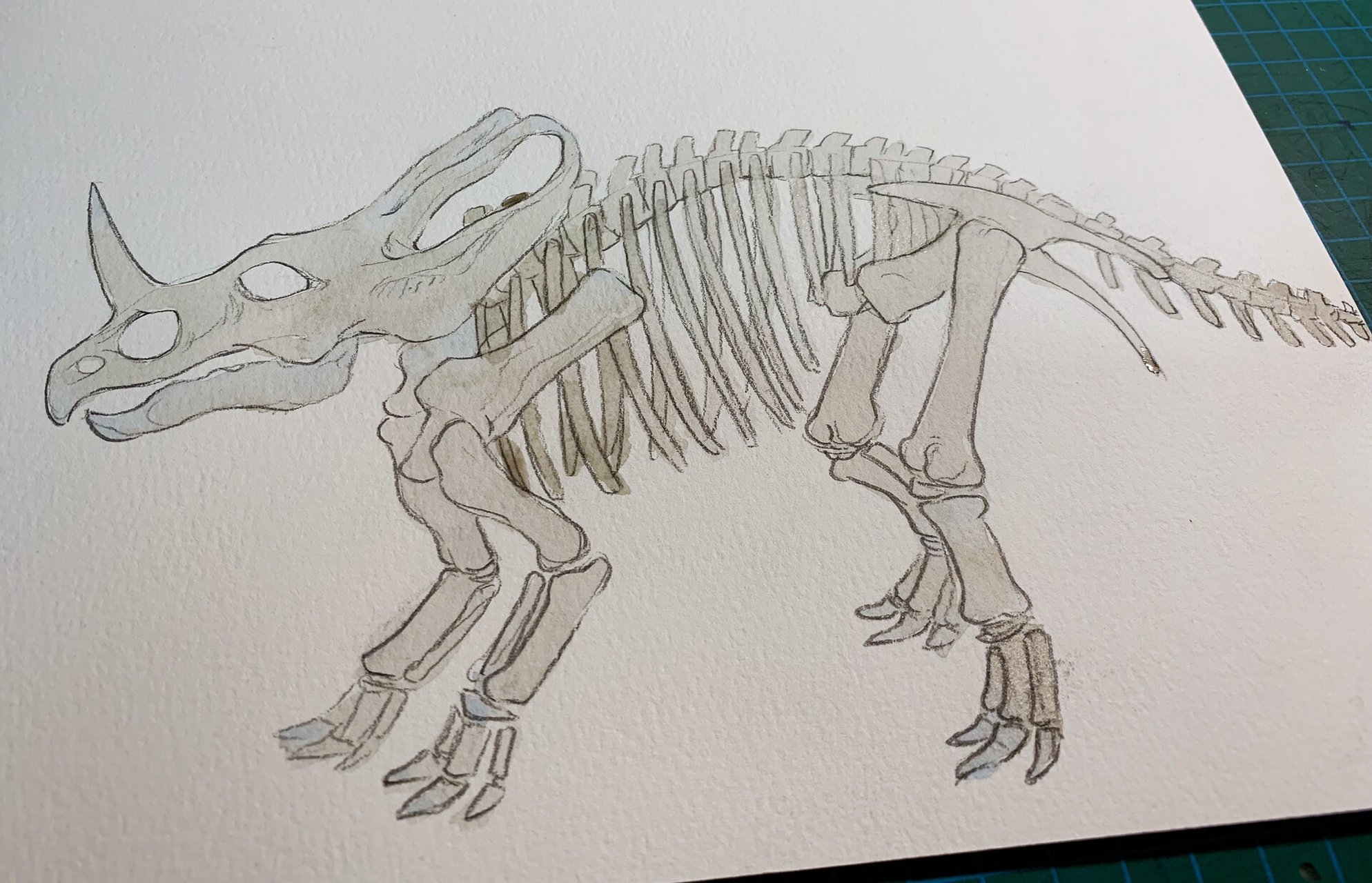 手绘水彩恐龙化石,给儿子的礼物