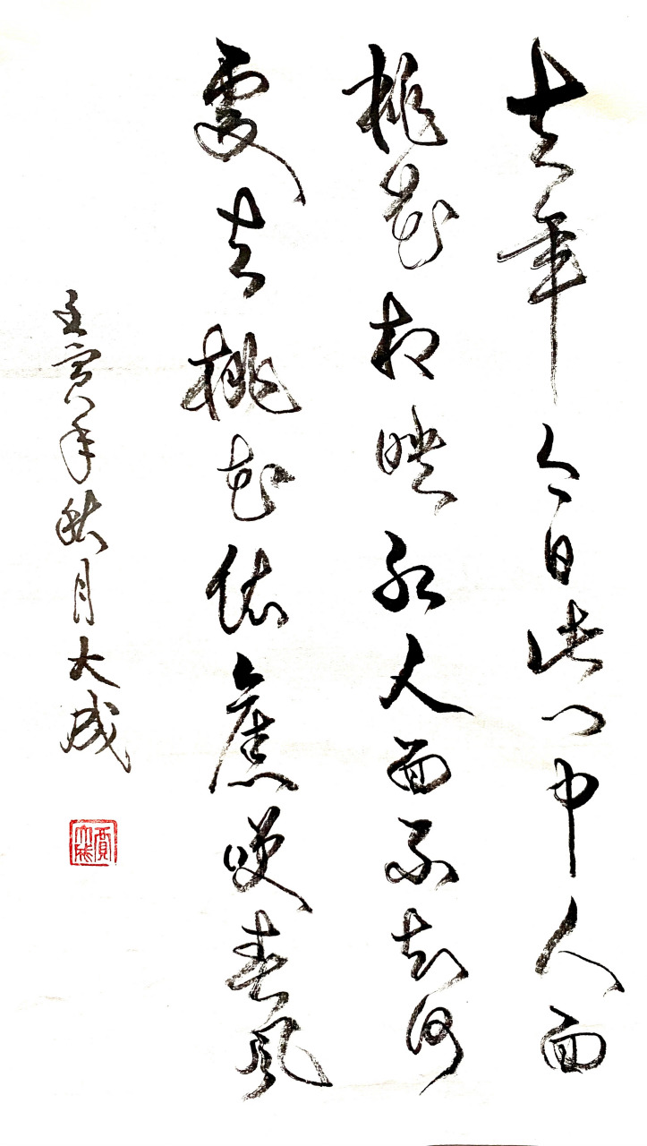 人面不知何处去, 桃花依旧笑春风.