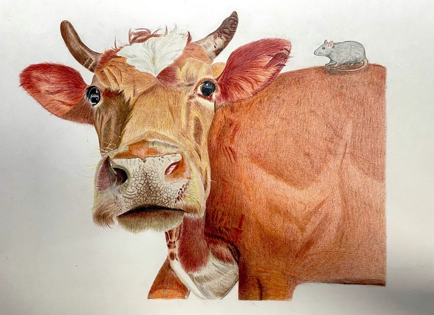 彩铅画牛头图片