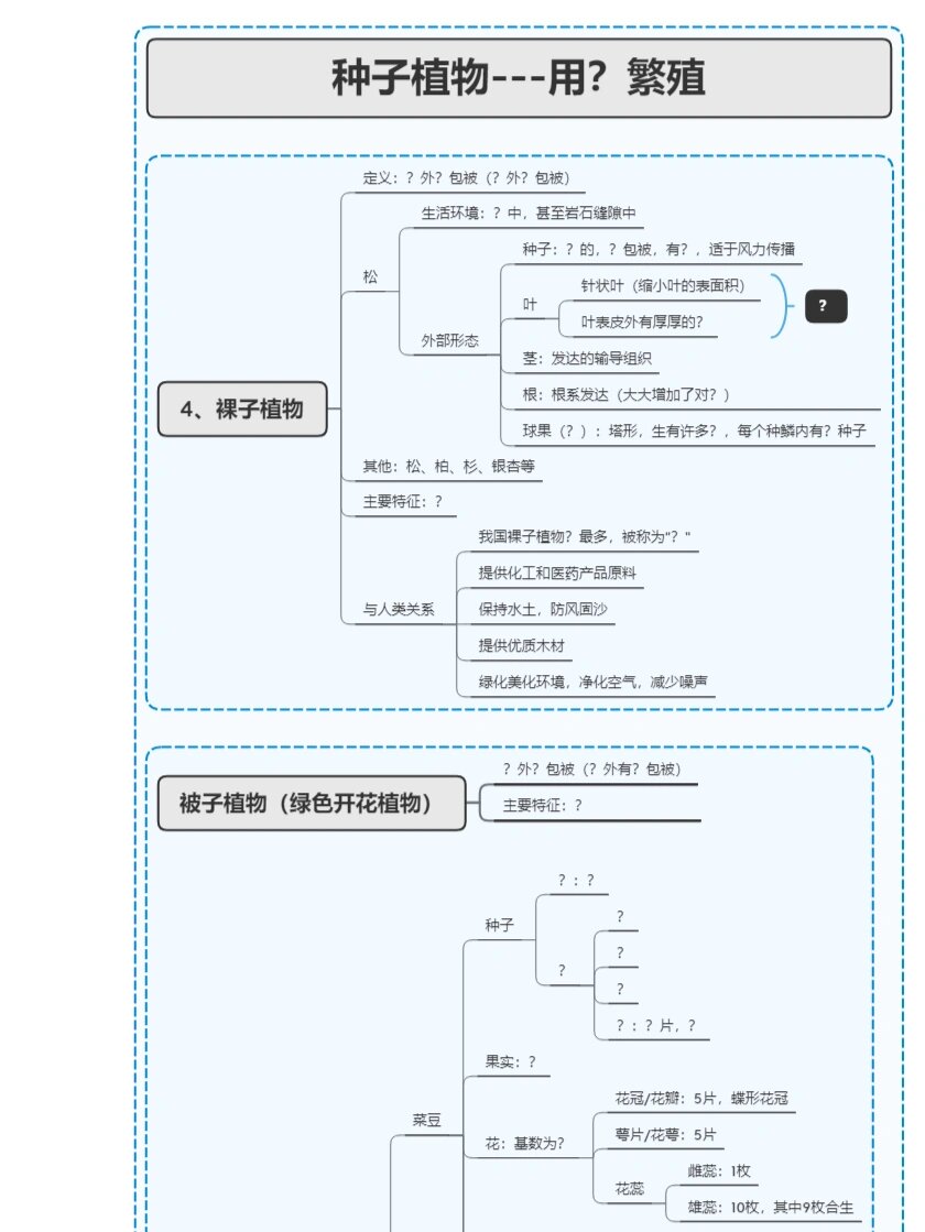 种子的思维导图简单图片