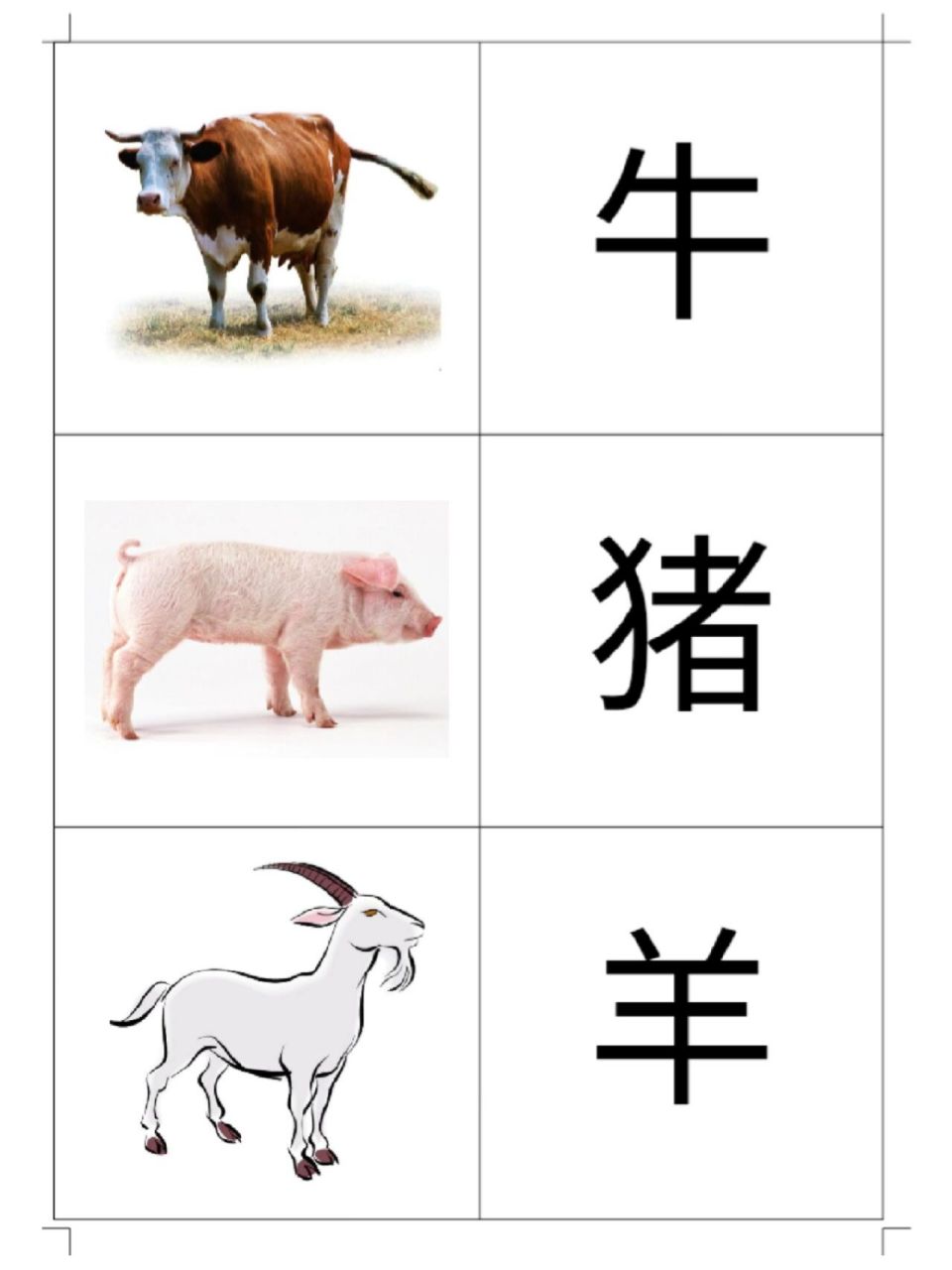 看图识汉字图片