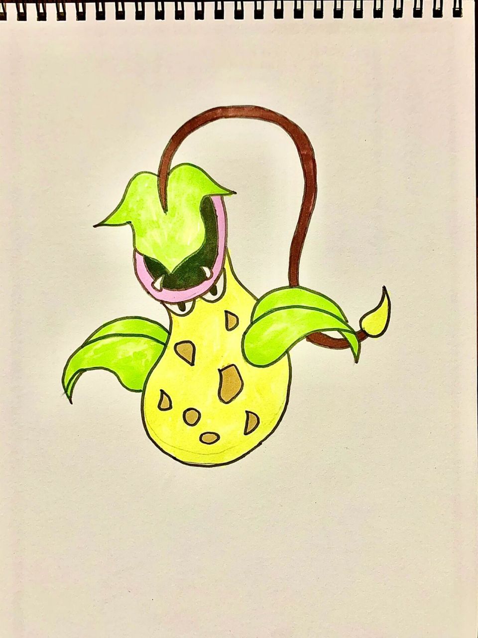 神奇宝贝 大食花