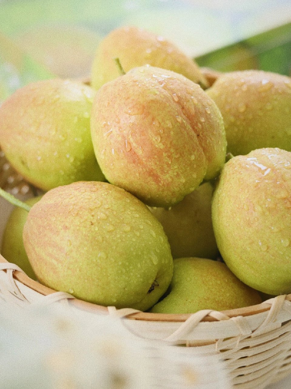 库尔勒香梨文案 我风餐露宿受的苦 终将化成你忘不掉的甜 皮薄多汁酥