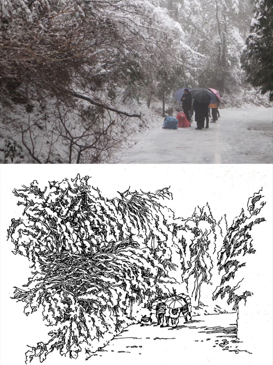 久违的雪,冻得拿不稳笔,回家补补 #风景速写