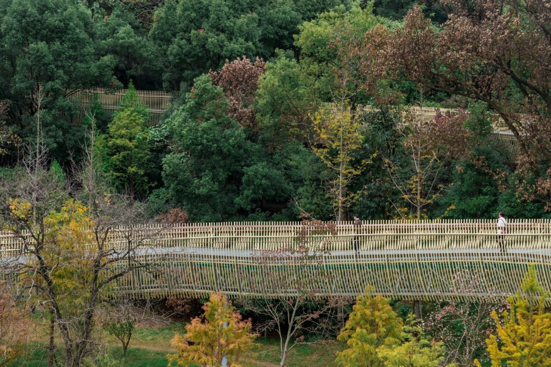 江西|磨盘山,全省最长的森林步道 96磨盘山森林公园位于南昌市湾里