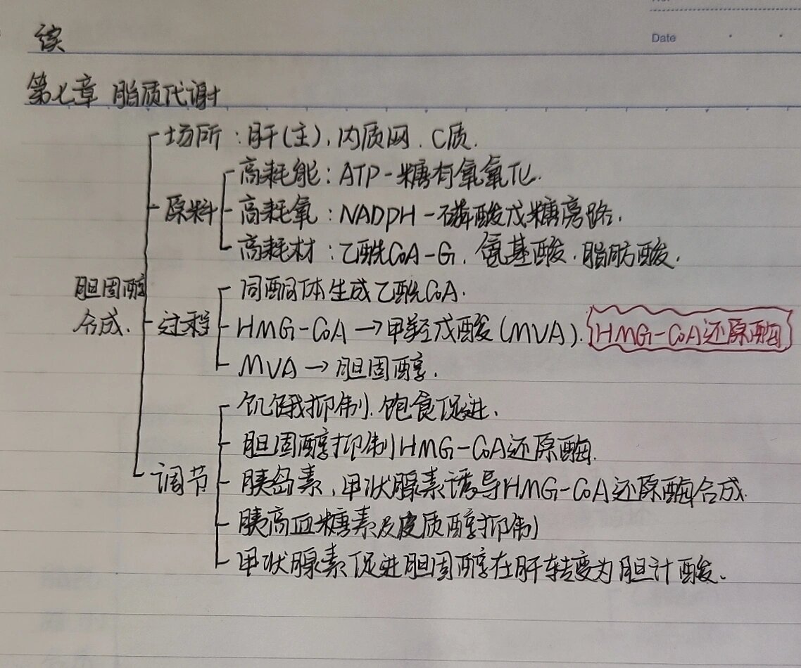 生化 脂质代谢思维导图来啦