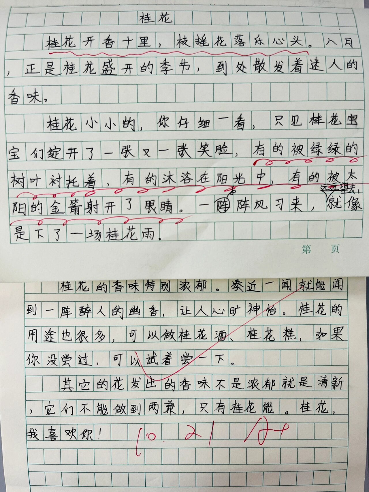 我喜欢的植物作文100字图片